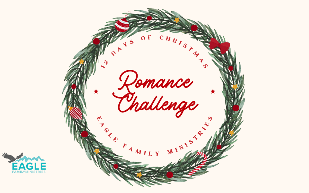 12 Days of Christmas Romance Challenge