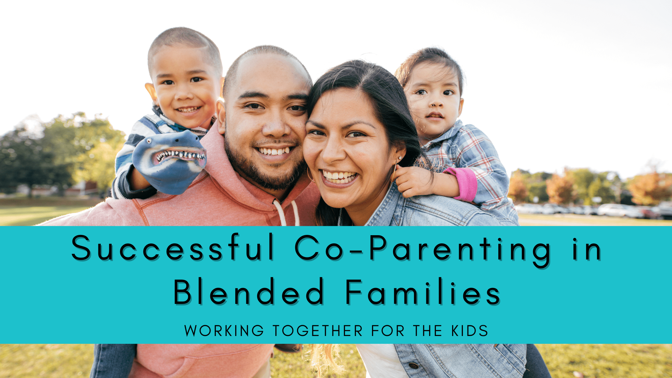 Successful Co-Parenting in Blended Families: Working Together for the Kids